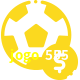 Aposte em esportes do mundo todo no jogo 555!